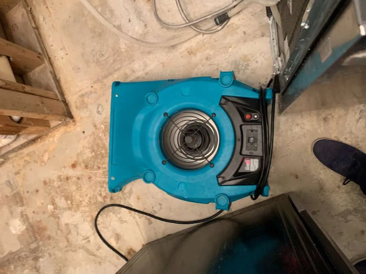 Air mover drying equipment for Mold Remediation & Removal in Deptford